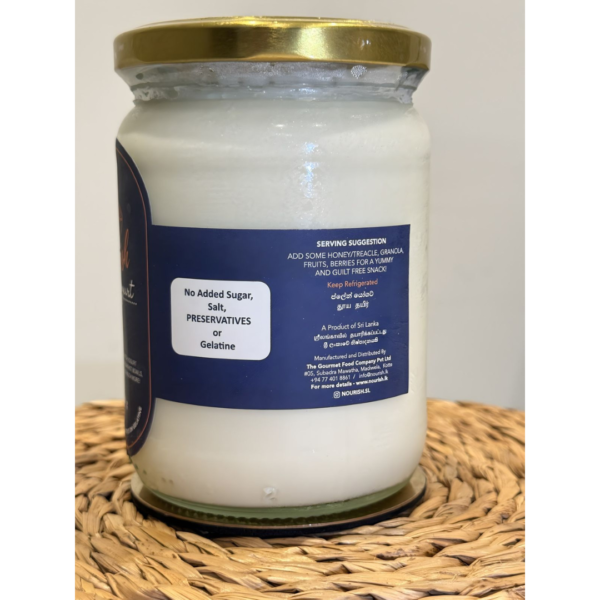 Plain Yogurt (500g) - Image 2